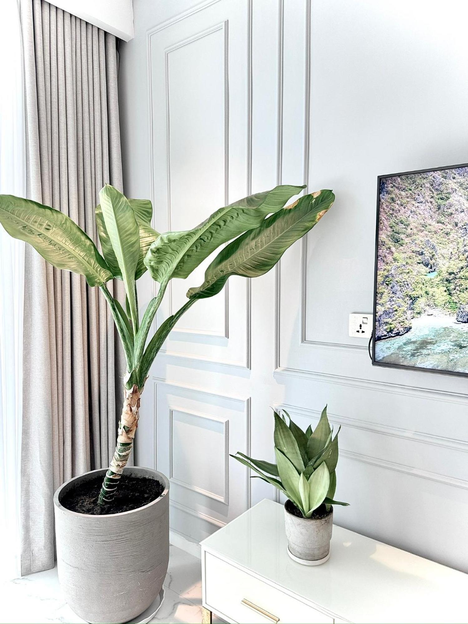 Căn hộ Metropole Thu Thiem - Luna - Chic, Unbeatable Location, Great Value!!! TP. Hồ Chí Minh